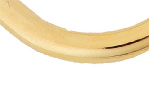 Panacea Oval Hoop Earrings In Gold