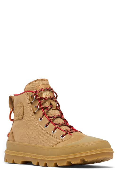 Sorel Scout N About Sneakers In Brown
