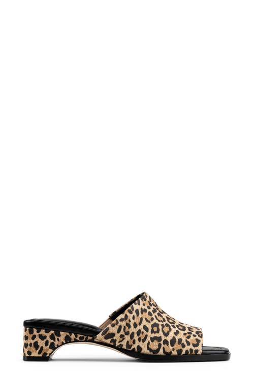 Donald Pliner Leopard Spot Slide Sandal In Black