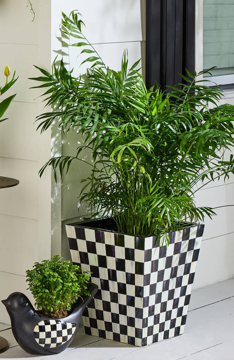 MACKENZIE CHILDS Courtly Check 13" Planter, Alternate, color, Courtly