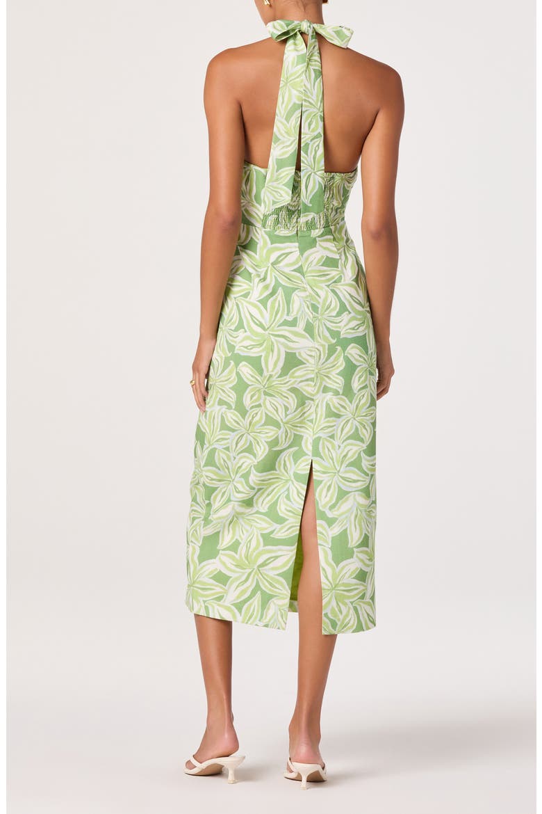 Anita Floral Halter Neck Midi Dress, Alternate, color, TROPICAL LIME FLORAL