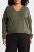 NORDSTROM RACK V-Neck Pullover Sweater