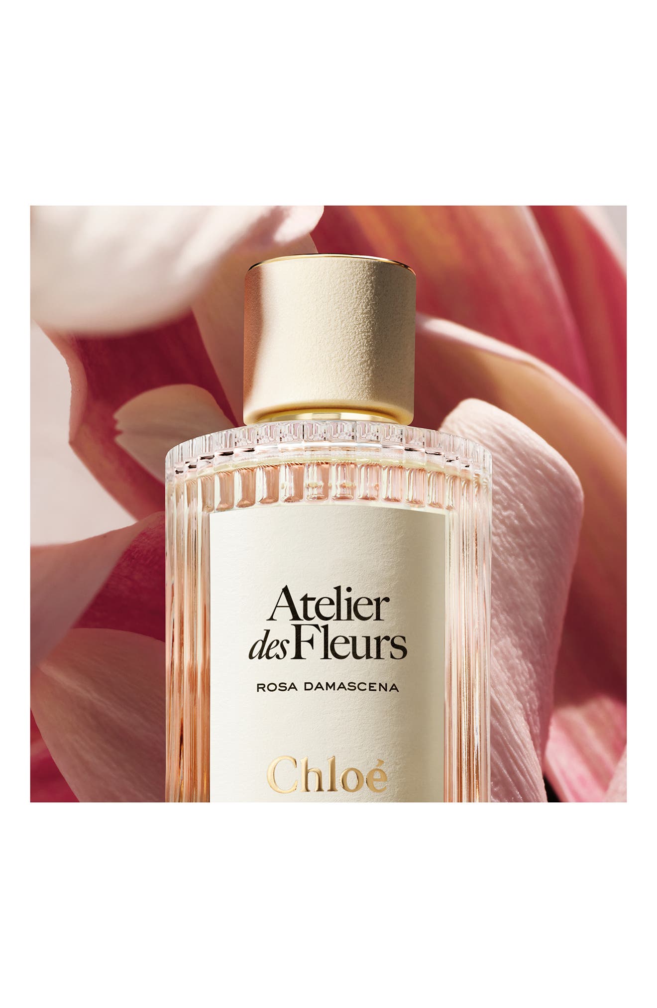 AnjelicaChloé アトリエ　デ　フルール　ダマスクローズ Atelier des Fleurs Rosa Damascena Eau de Parfum (Women) | Nordstrom