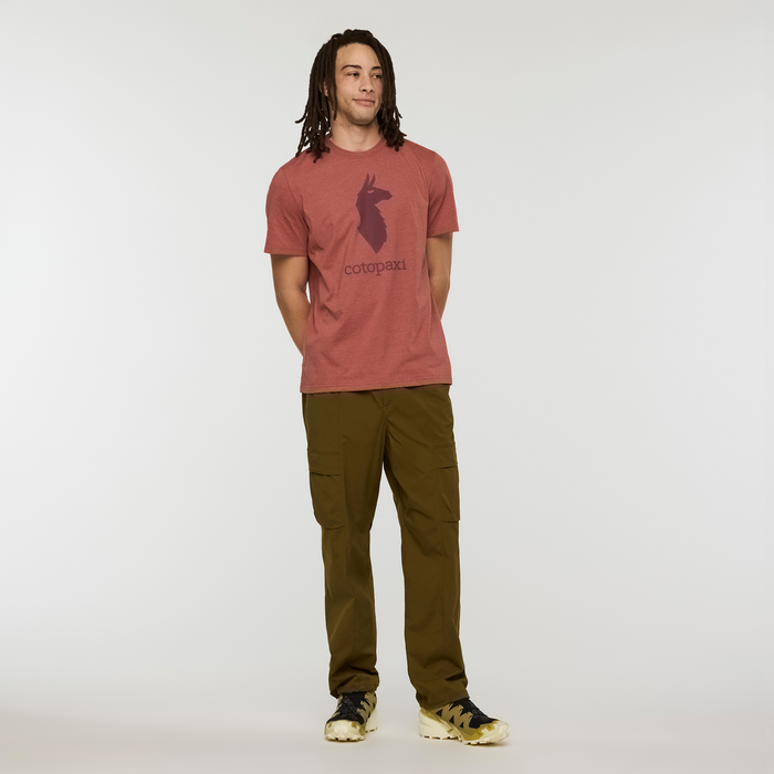 Llama T-Shirt - Men's - image 4