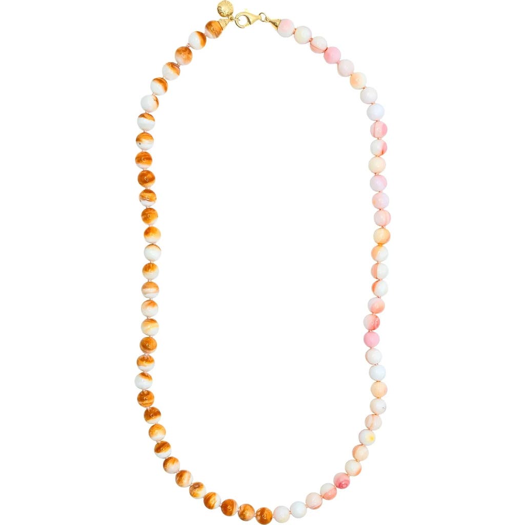 Fry Powers Shell Rope Necklace In Pink