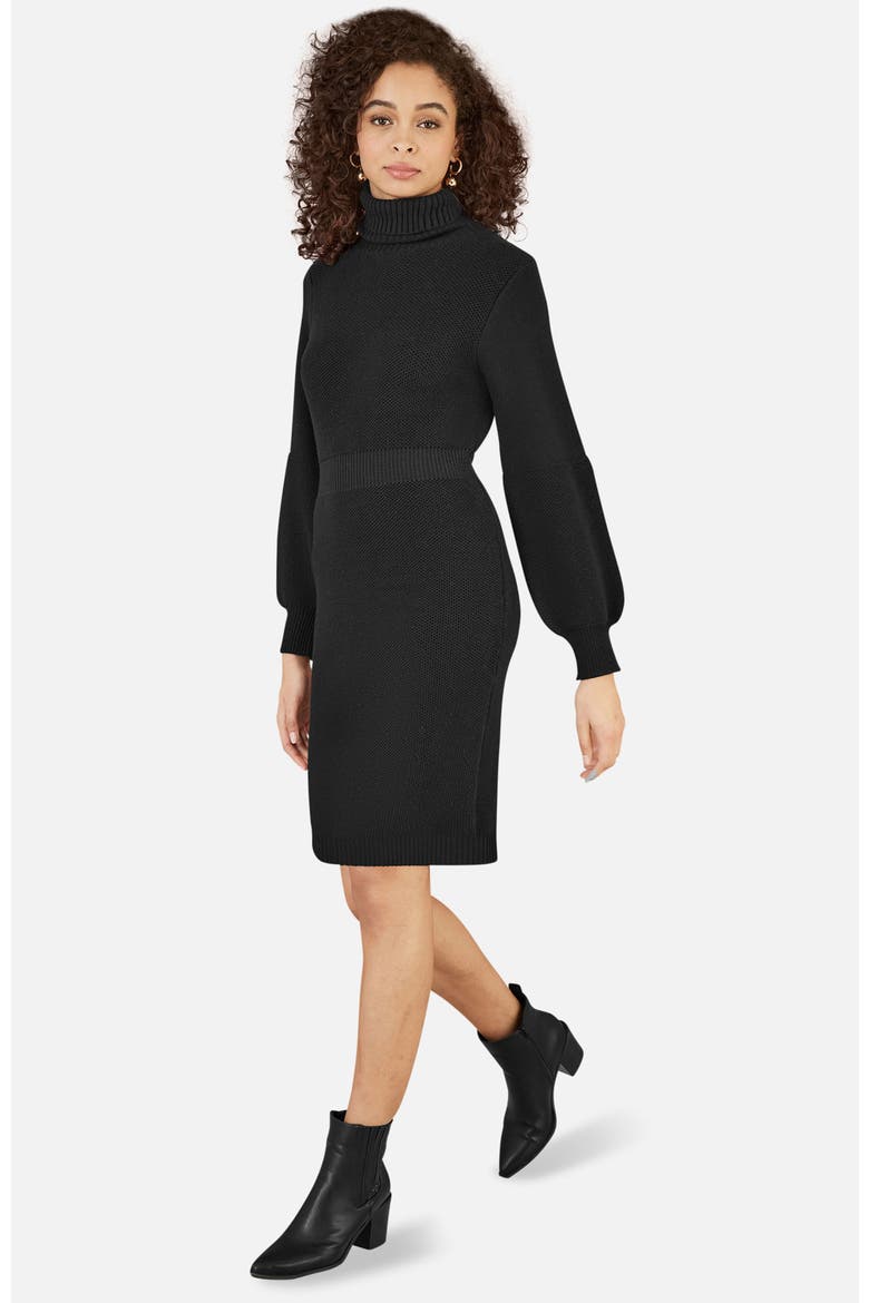 Roll Neck Knitted Dress, Main, color, Black