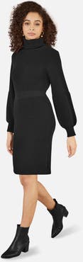 Yumi Roll Neck Knitted Dress
