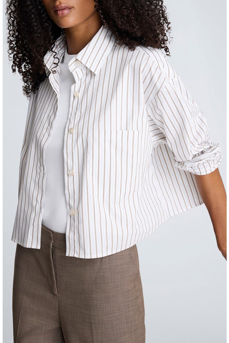 Stripe Crop Button-Up Shirt, Alternate, color, WHEAT/ BARK COMBO