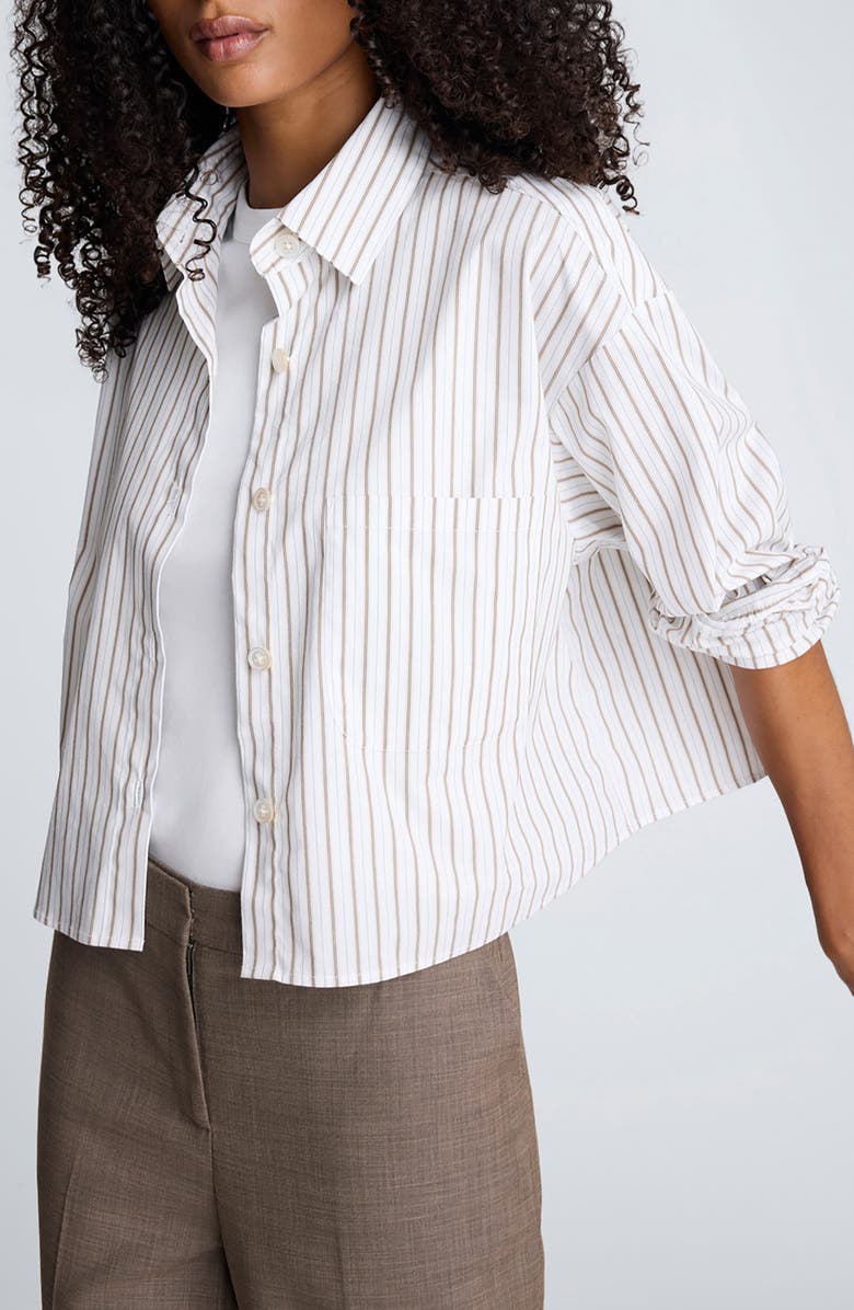 Kenneth Cole Stripe Crop Button-Up Shirt, Alternate, color, Wheat/ Bark Combo