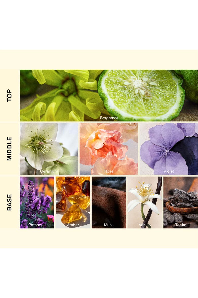 Royal Amber Home Fragrance Diffuser Oil Refill, Alternate, color, Black Bottle
