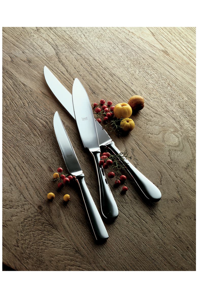 American 4-Piece Steak Knife Set, Alternate, color, CHAMPAGNE