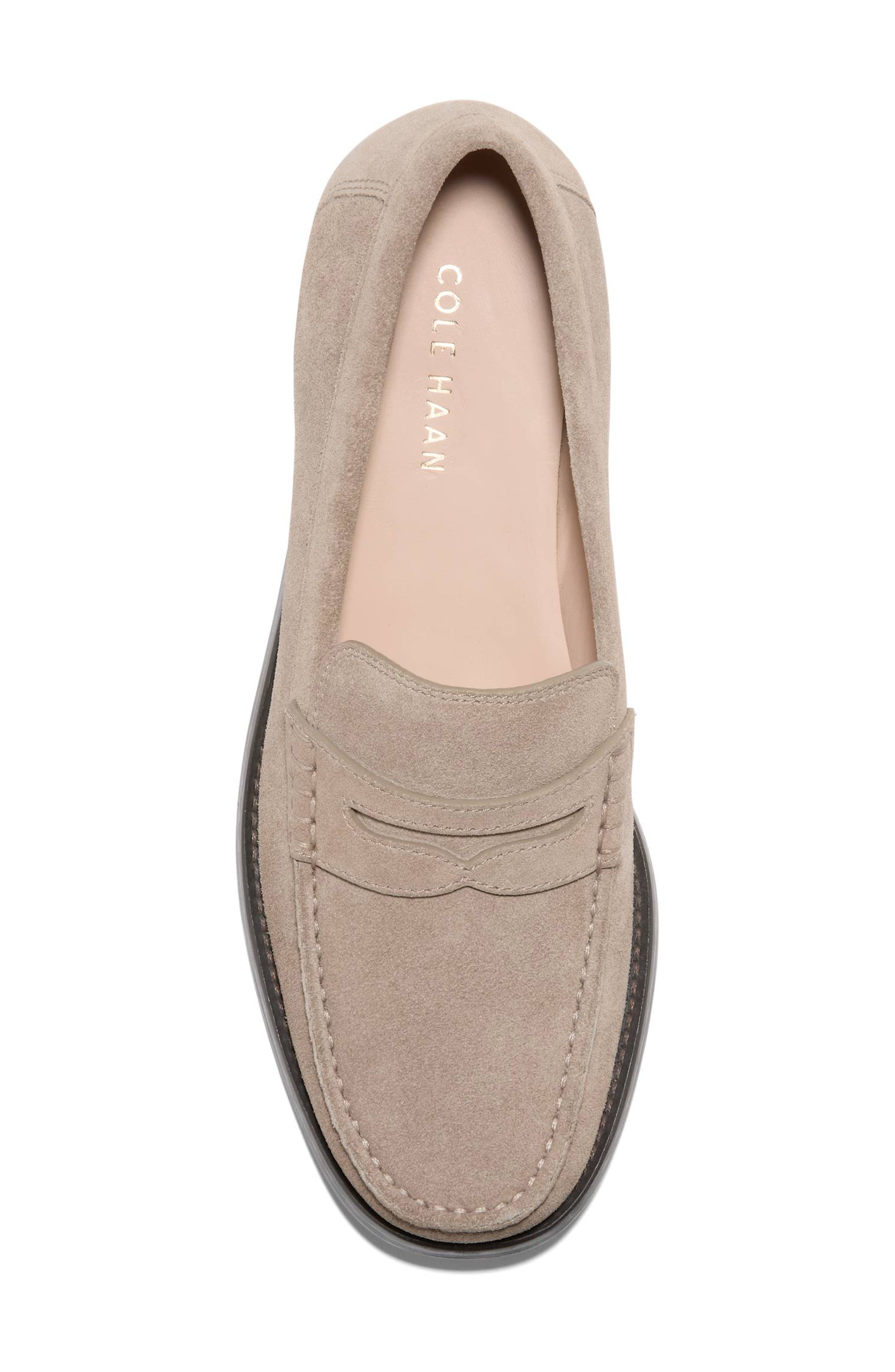 Lana Luxe Penny Loafer, Alternate, color, CH IRISH COFFEE SUEDE