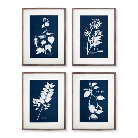 Cyano Botanical Leaf Study Set of 4