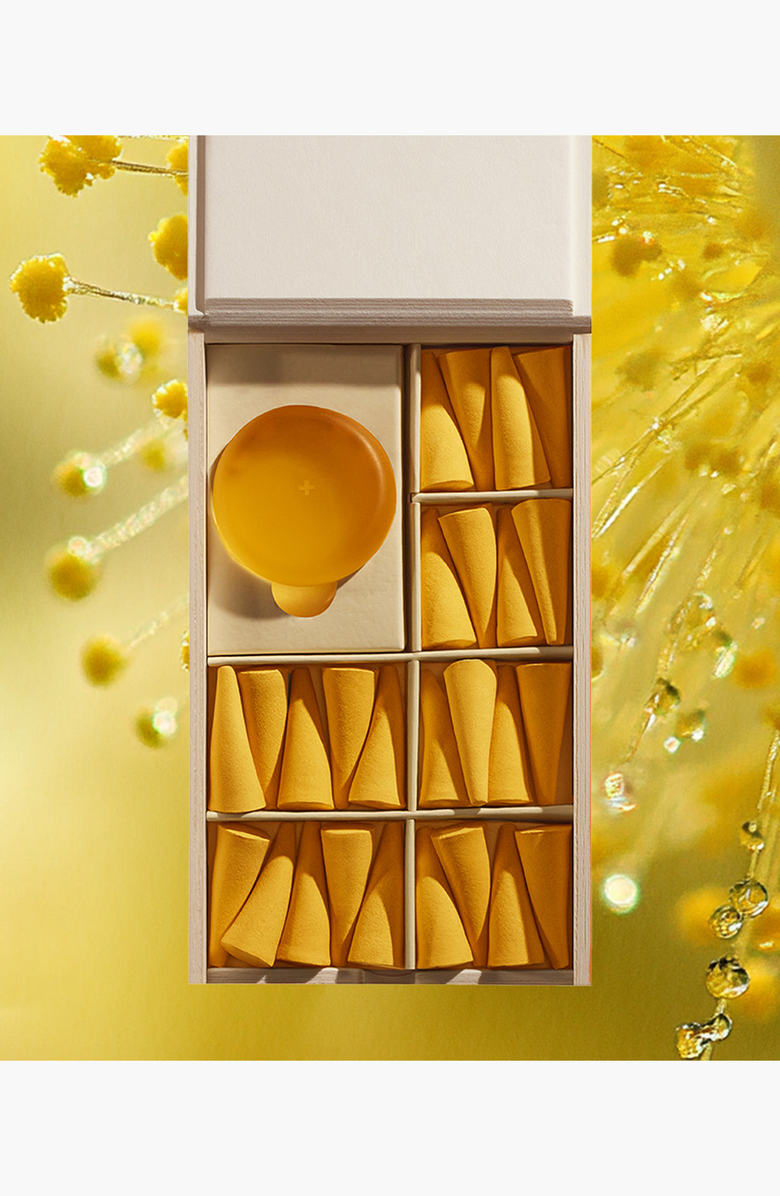 ripple⁺ home Mimosa Del Sol Incense Cones, Alternate, color, 