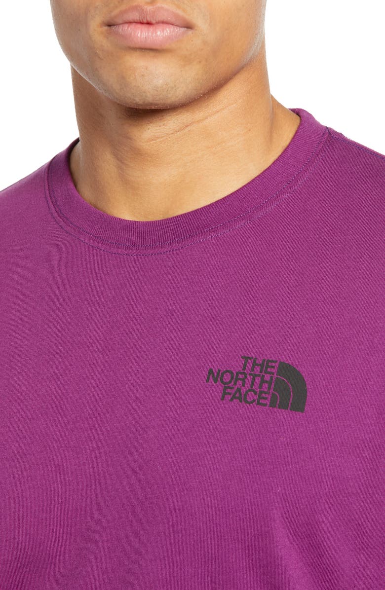 The North Face 1992 Rage Collection Graphic T-Shirt, Alternate, color, 