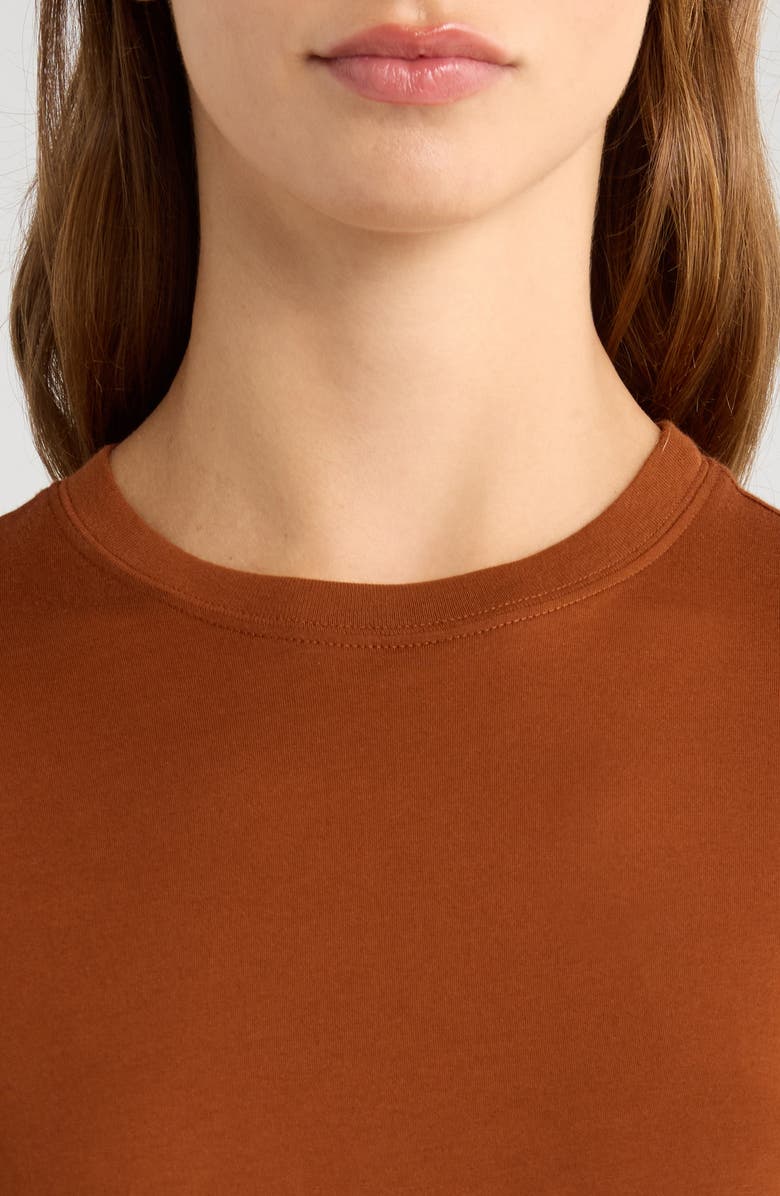 FRAME Baby Tee, Alternate, color, Chestnut