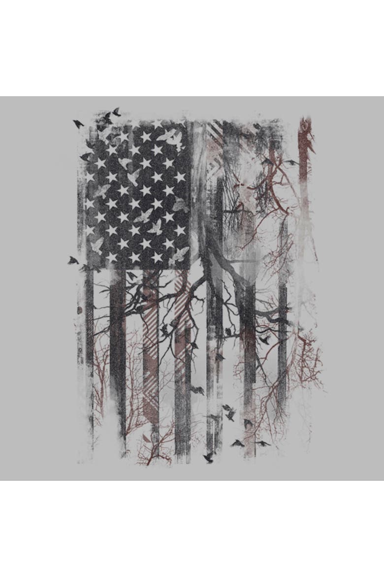 Men's Lost Gods American Flag Abstract Art  Graphic T-Shirt, Alternate, color, Athletic Heather