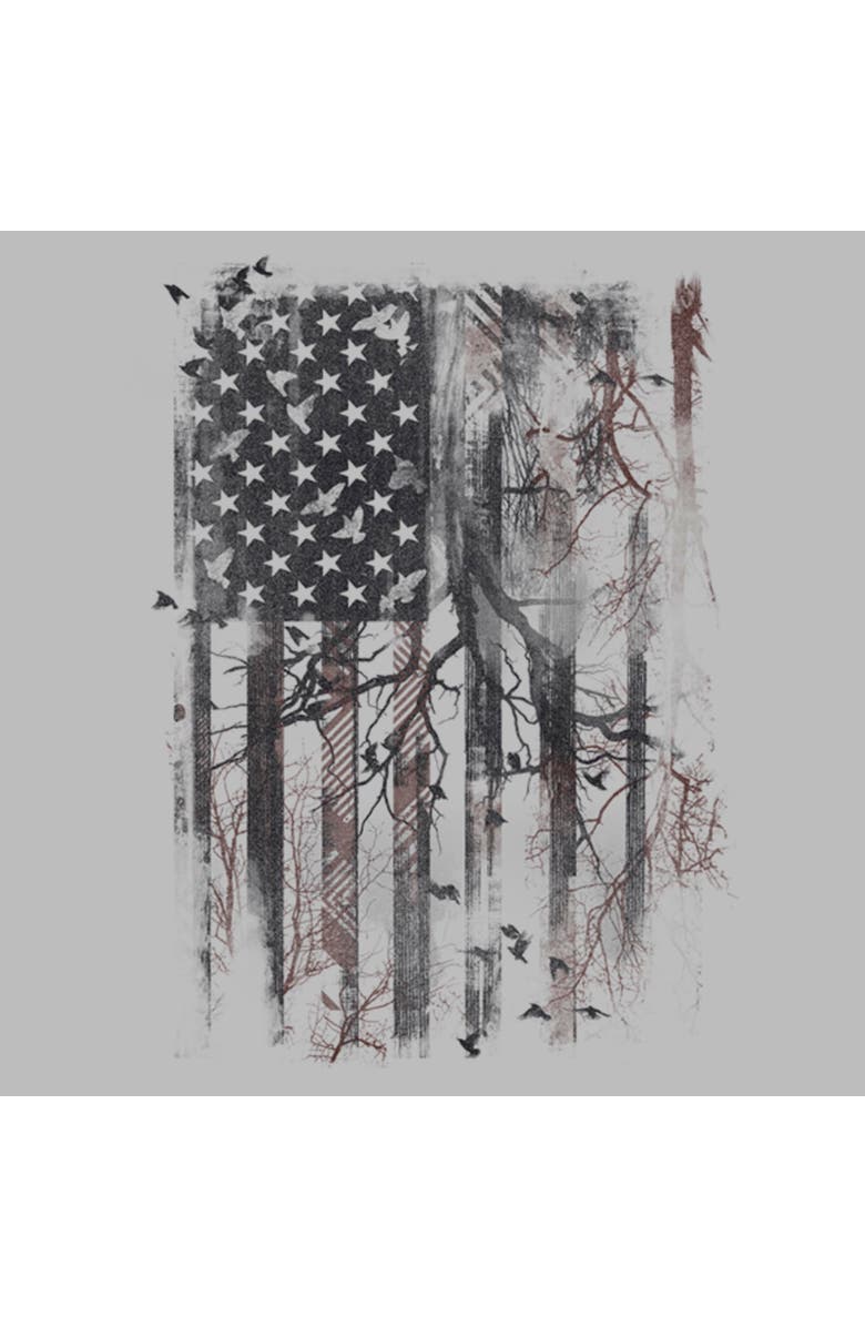 Lost Gods Men's Lost Gods American Flag Abstract Art  Graphic T-Shirt, Alternate, color, Athletic Heather