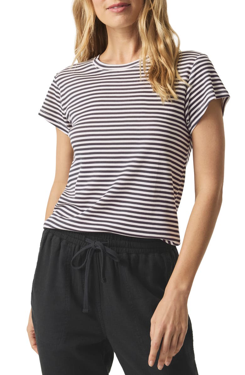 Splendid Faye Stripe T-Shirt, Main, color, 