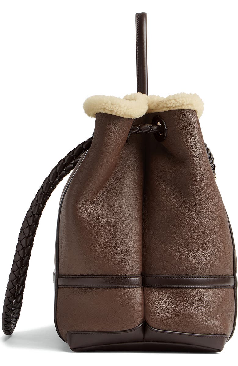 Bottega Veneta Large Andiamo Genuine Shearling Tote, Alternate, color,