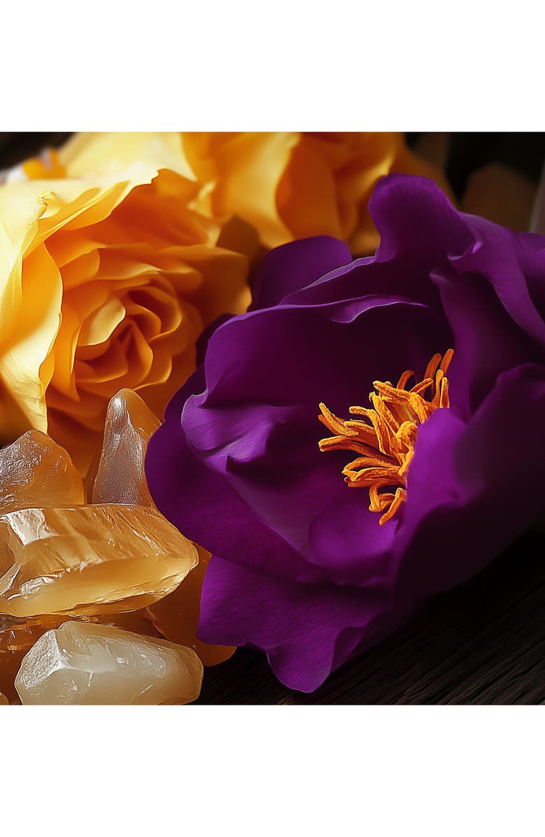 House of Sillage Ruby Reign Parfum, Alternate, color,