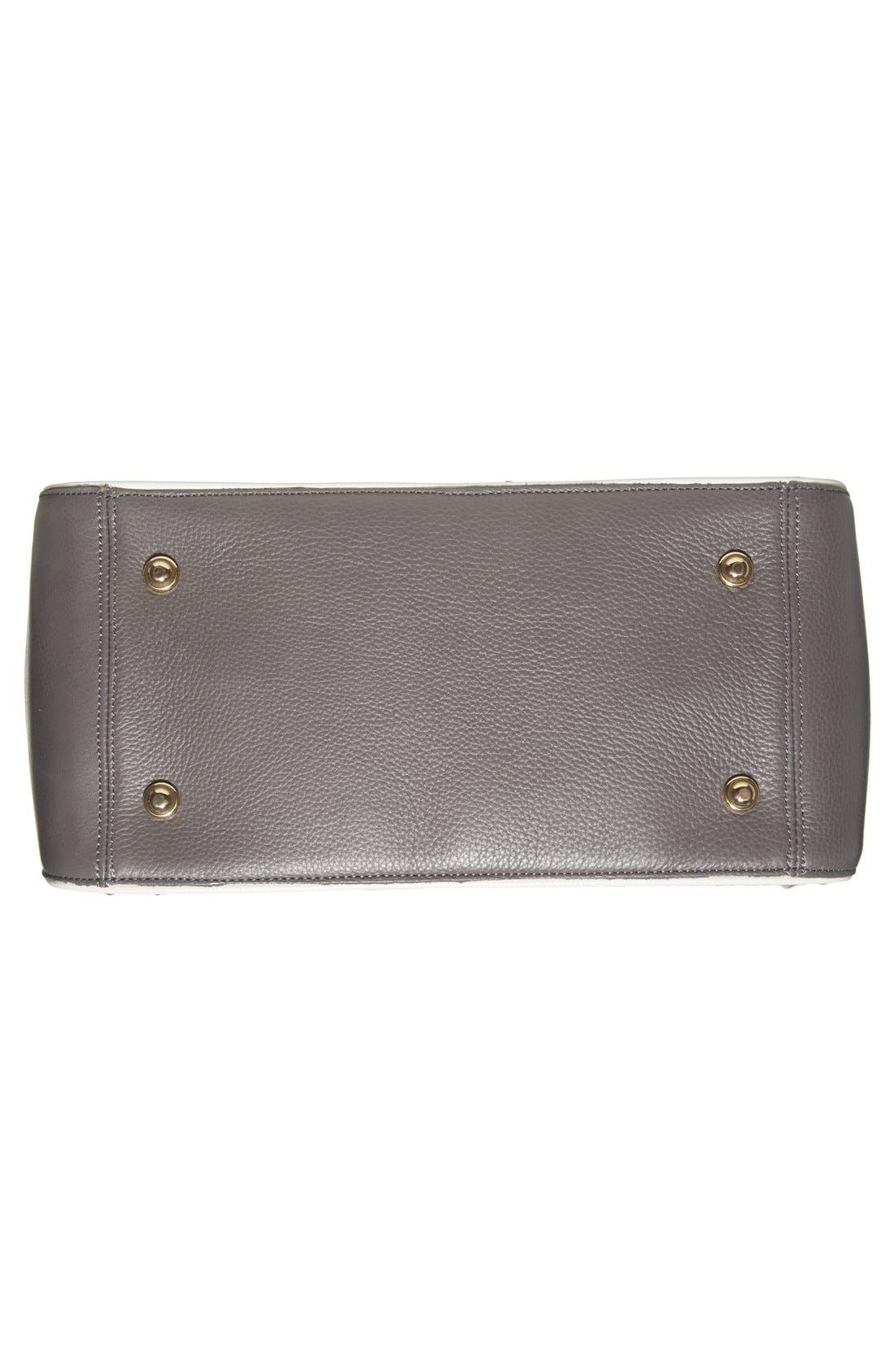 Brahmin , Alternate, color, 