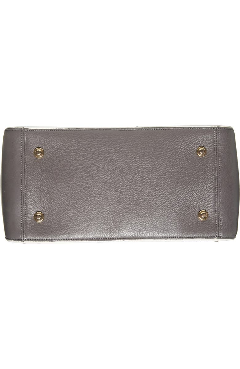 Brahmin , Alternate, color,