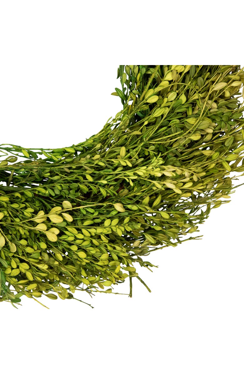Northlight Green Foliage Artificial Spring Wreath - 20' - Unlit, Alternate, color, Green