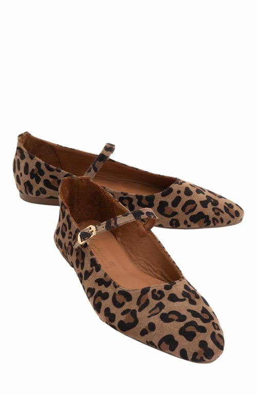 Forever & Always Shoes Lara Leather Mary Jane Flats in Leopard Print Suede Leather at Nordstrom, Size 7.5