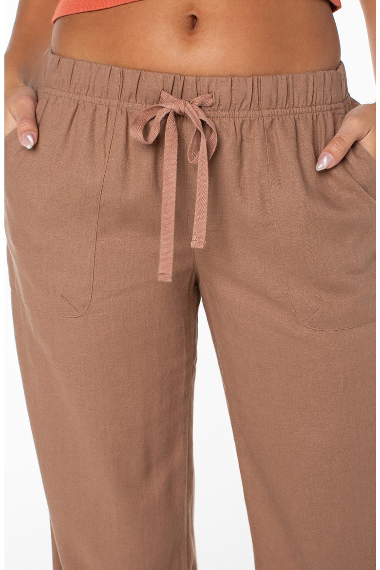 Lagoon Cover-Up Pants, Alternate, color, BROWNIE