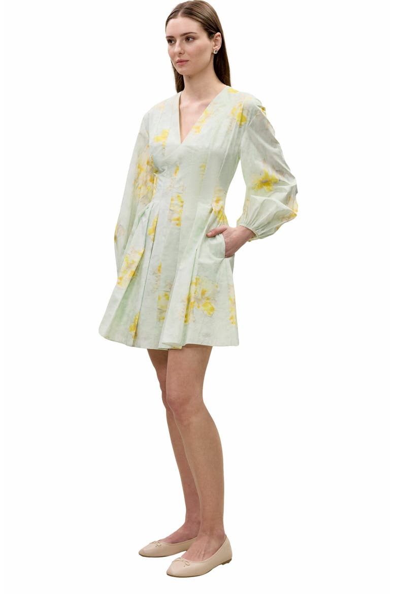 Yara Poplin Dress, Alternate, color, SAGE COMBO