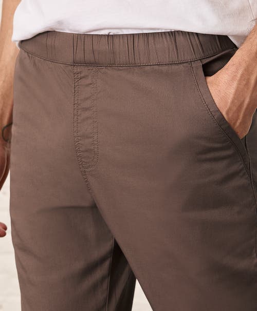 Pact Organic Cotton Daily Twill Midweight Pant In Deep Taupe