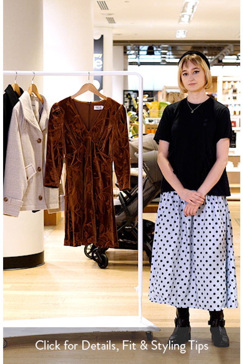 Long Sleeve Embroidered Velvet Dress video