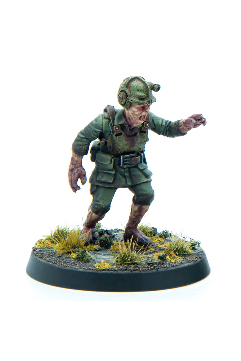Fallout Wasteland Warfare, Creatures Ghoulish Remnants, Alternate, color, Multicolored