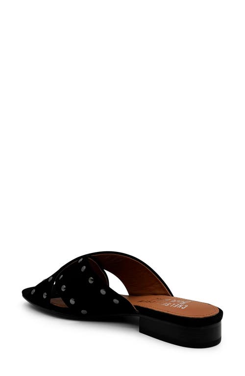 Chelsea Crew Olympia Studded Slide Sandal In Black Suede