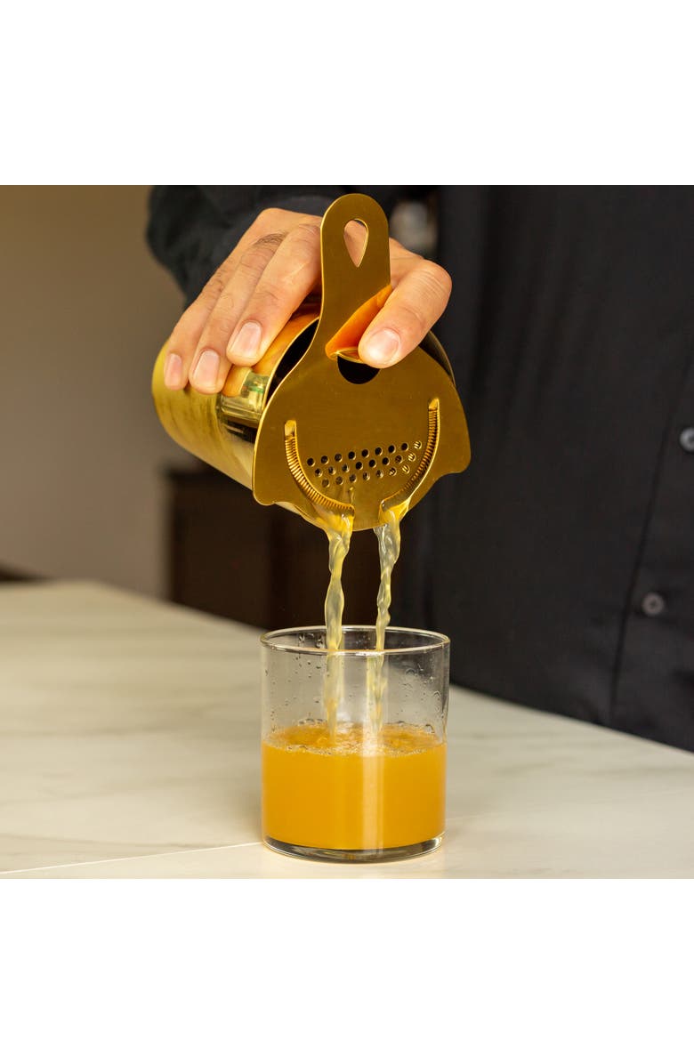 A Bar Above Gold Hawthorne Cocktail Strainer, Alternate, color, Gold