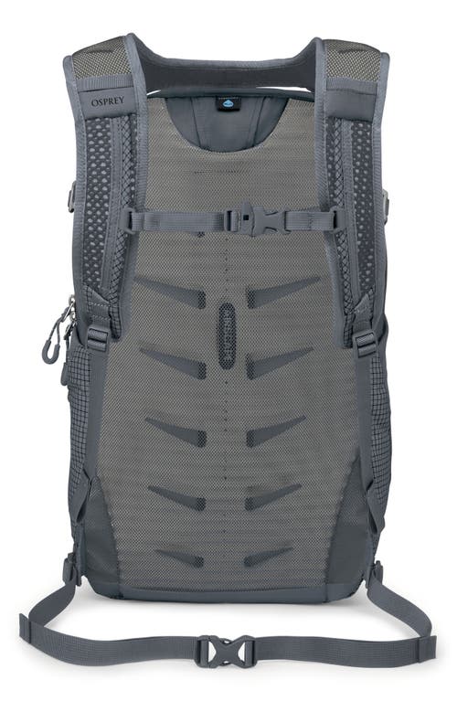 Osprey Daylite Plus Ltd Backpack In Blue