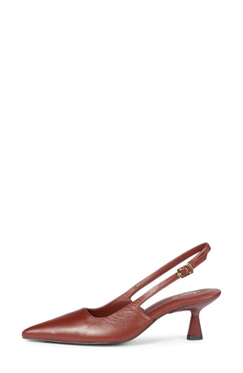 Saint G Cynara Slingback Pointed Toe Pump
