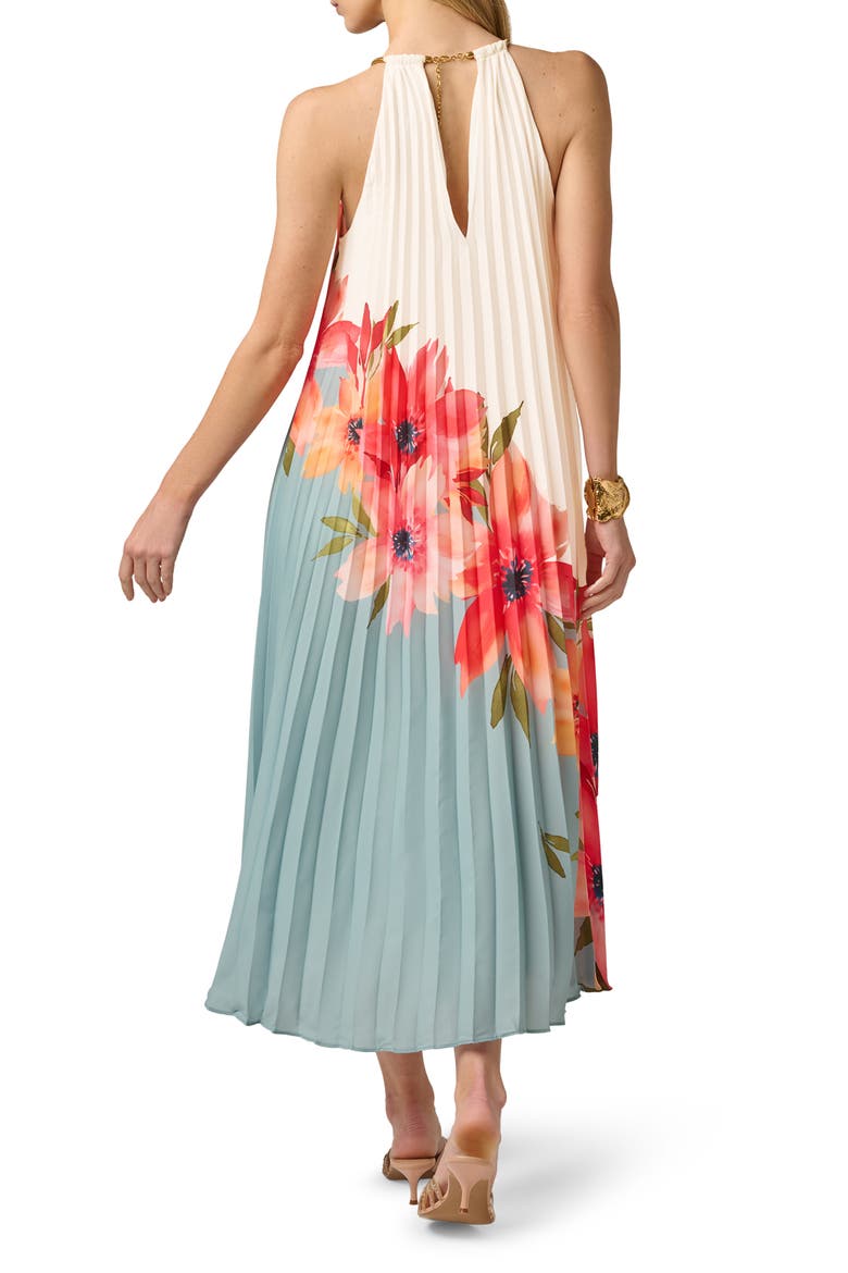 Floral Print Sleeveless Chiffon Maxi Dress, Alternate, color, BLUE MULTI