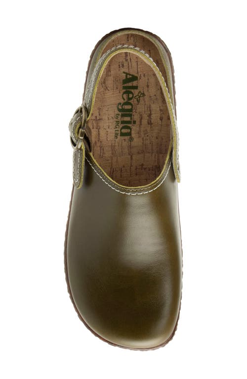 Alegria By Pg Lite Olie Slingback Platform Clog In Green