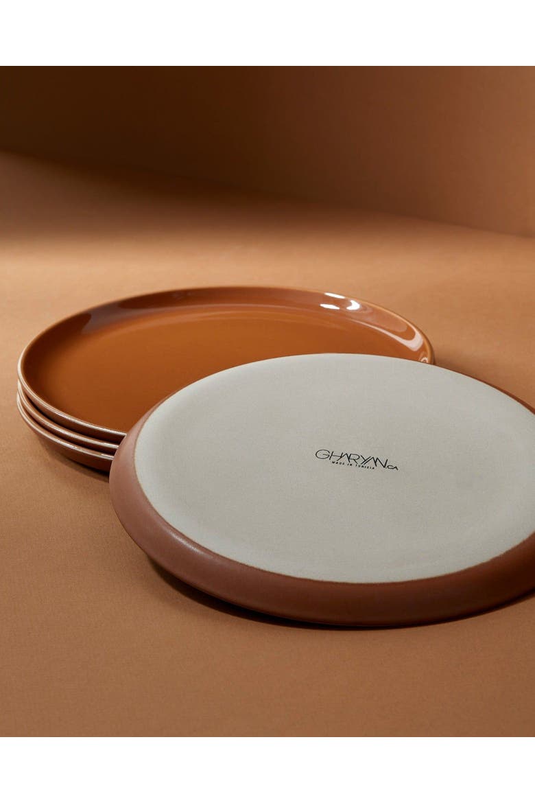 Minimalist Dinnerware Set, Alternate, color, Matte/Shiny Terracotta
