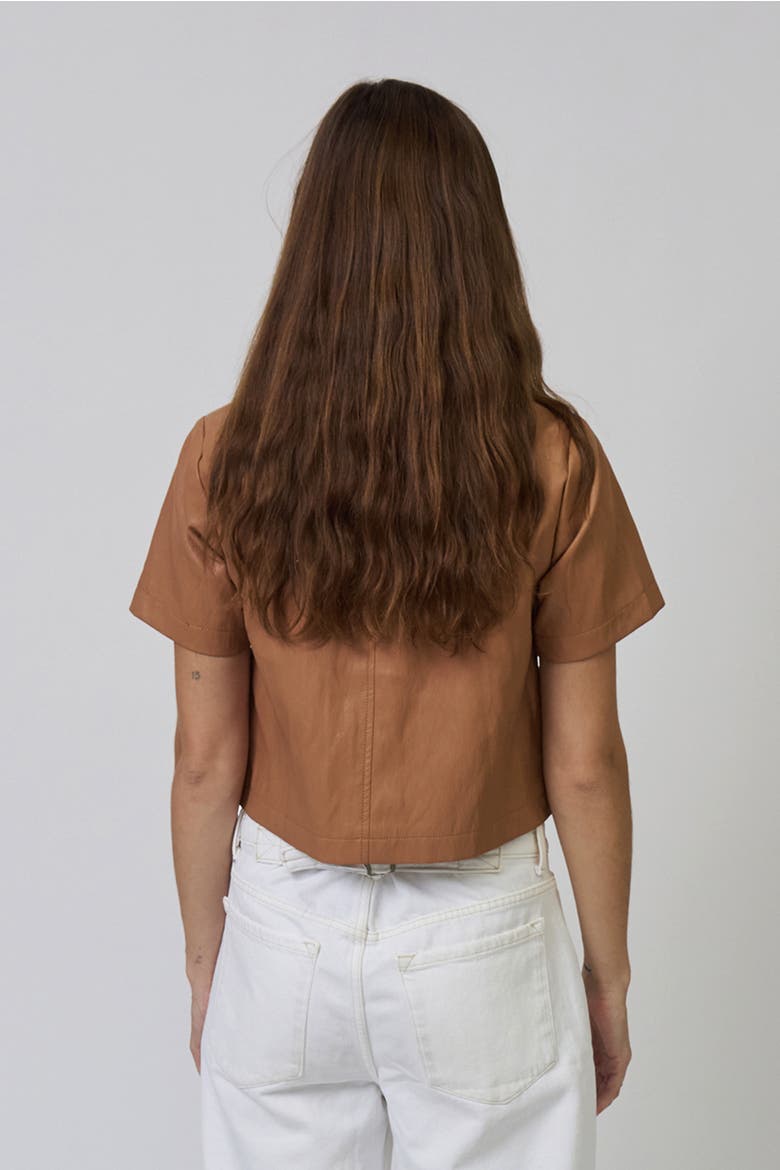 Chelsea Faux Leather Cropped Jacket, Alternate, color, BROWN