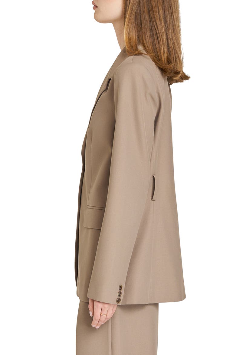 Maddox Belted Blazer, Alternate, color, TAUPE