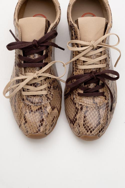 Forever & Always Shoes Crea Leather Sneakers In Open Brown Leather