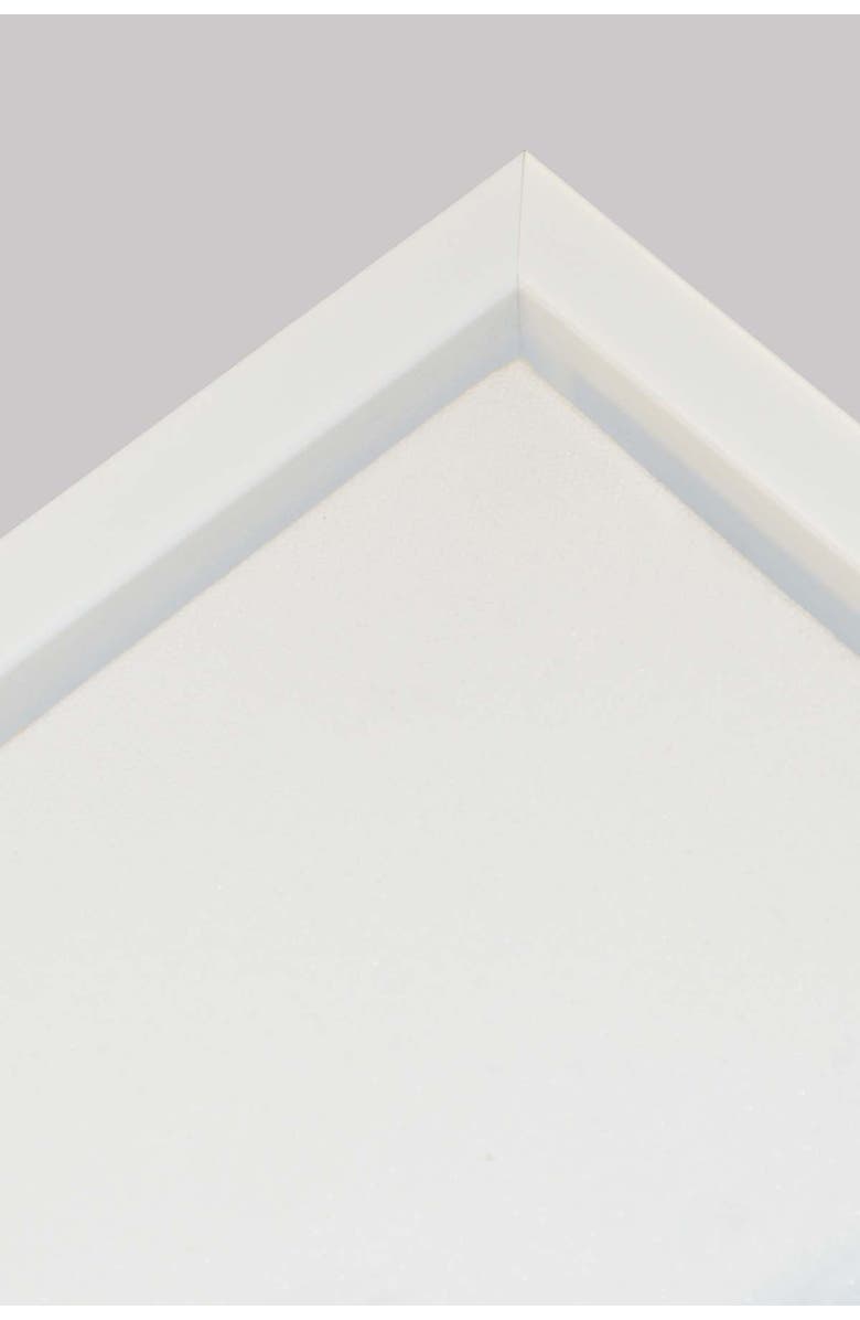 PTM IMAGES Golden Succulents Canvas with Floater Frame, Alternate, color, 