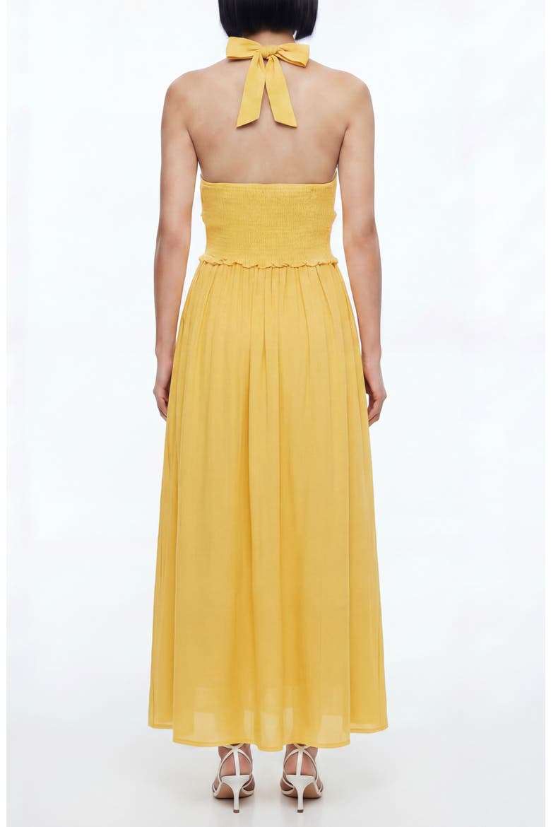 Nina Patterned Halter Maxi Dress, Alternate, color, POPCORN