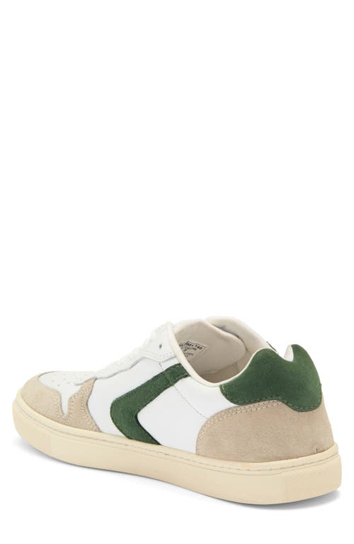 Shop Steve Madden Low Top Sneaker
