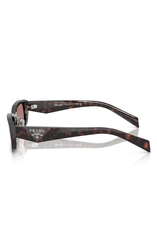 Prada 55mm Rectangular Sunglasses In Lite Brown