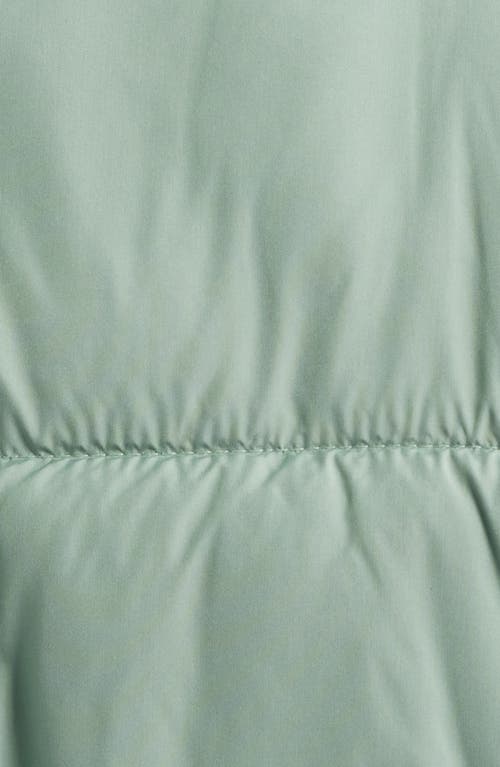 Bernardo Knit Collar Crop Puffer Jacket
