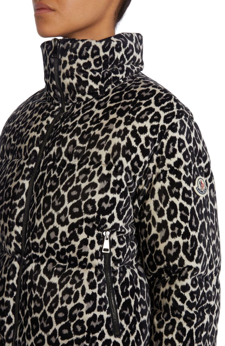 Moncler Sebou Leopard Print Crop Down Jacket, Alternate, color,